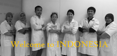 welcome to indonesia